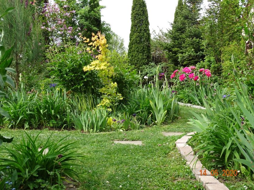  - Gradina 2020