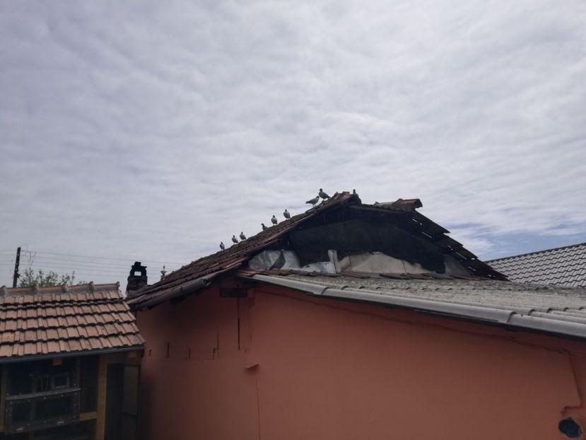  - 2020-Pui Seria a doua