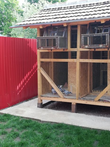  - 2020-Pui Seria a doua