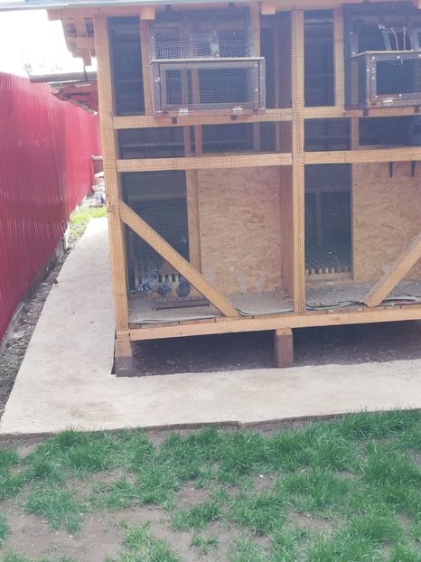  - 2020-Pui Seria a doua