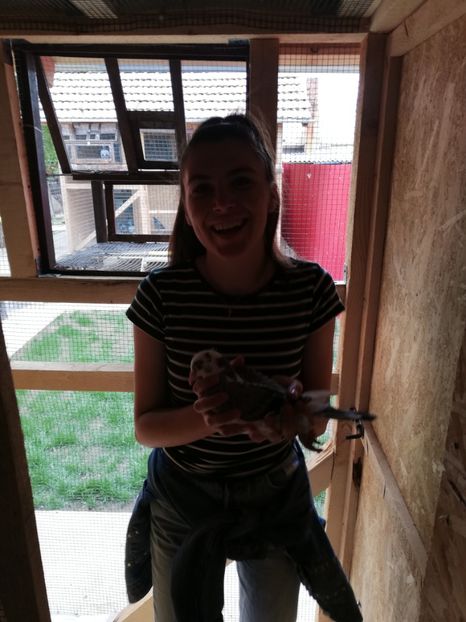  - 2020-Pui Seria a doua