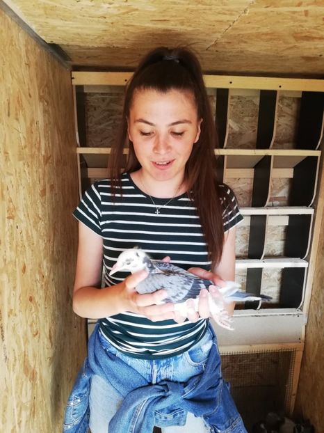  - 2020-Pui Seria a doua