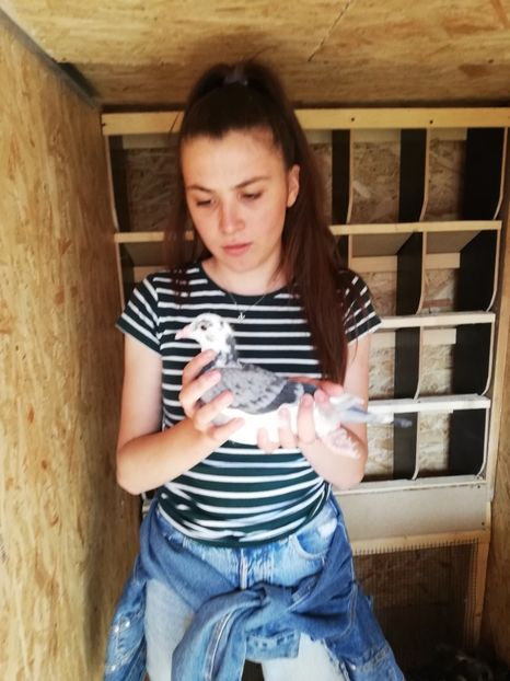  - 2020-Pui Seria a doua