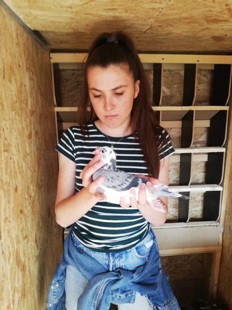  - 2020-Pui Seria a doua