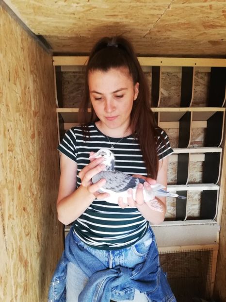  - 2020-Pui Seria a doua