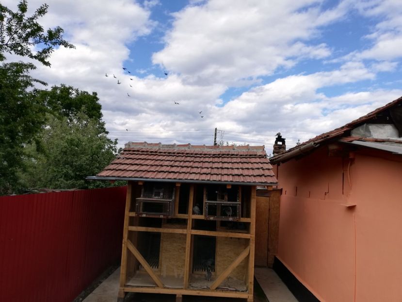  - 2020-Crescatorie Pui