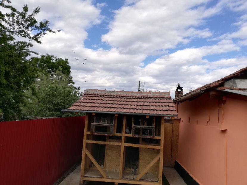  - 2020-Crescatorie Pui