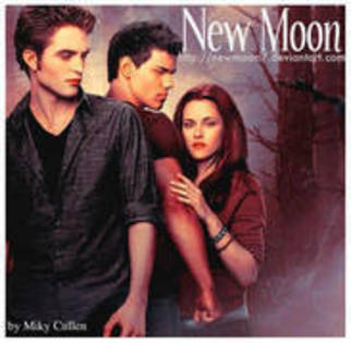 ANXTFLYBPYSZSJQMLKU - New Moon