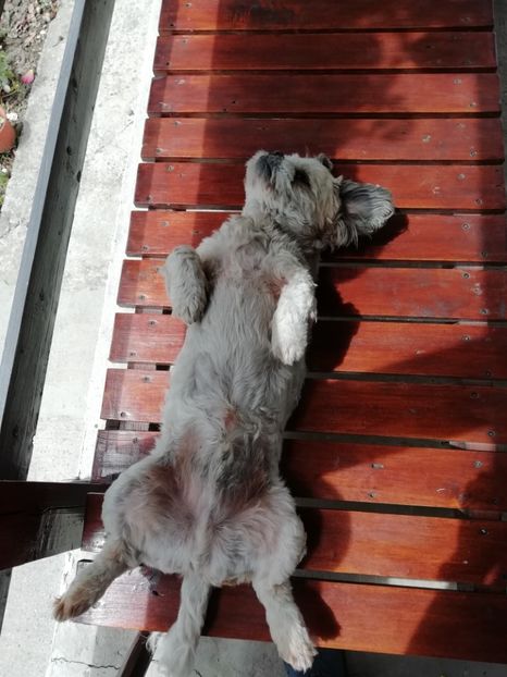 2020 - 14.05 - Comoara mea