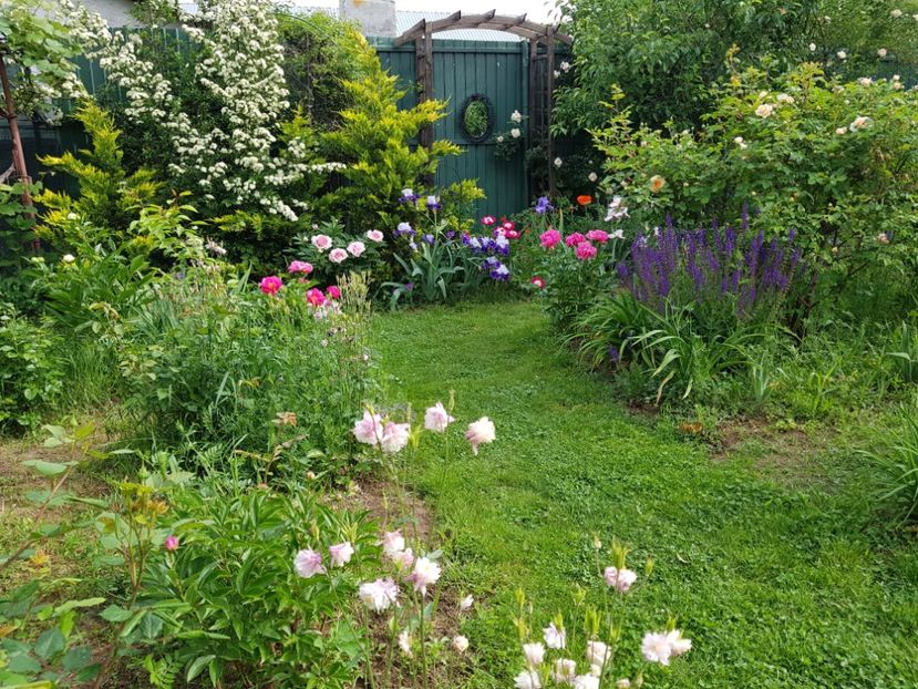  - 2020 Mai _Idilic Garden