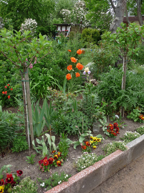  - 2020 - 01 - Primavara