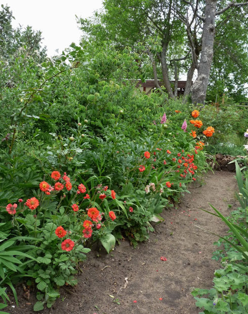  - 2020 - 01 - Primavara