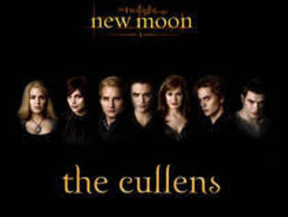 EYHPSFXUIVRCRHXVVJH - New Moon