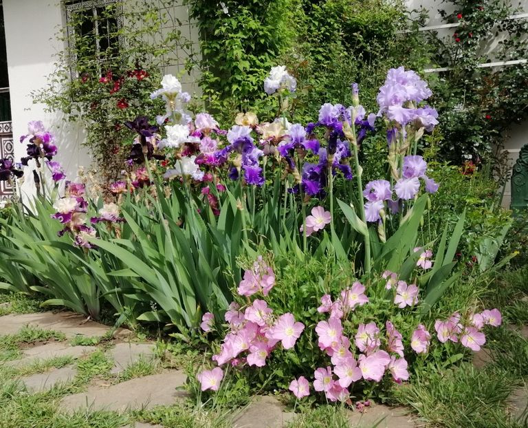  - 2020 mai iunie iulie