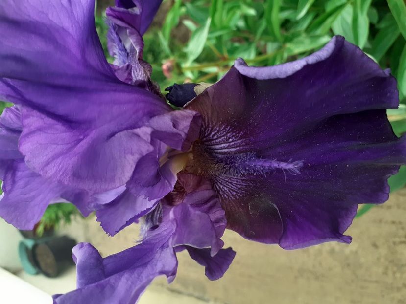 IMG-20200515-WA0061 - 2020