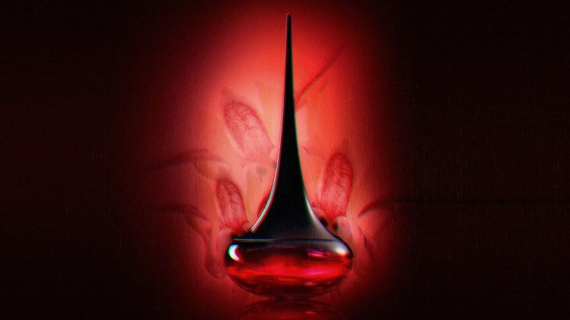 ɢʟɪᴍᴍᴇʀɪɴɢᴄʜᴀᴍᴘᴀɢɴᴇᴍᴀɢ ɢᴏᴛ ʟᴏᴠᴇ ᴘᴏᴛɪᴏɴ - Rain is just confetti from the sky