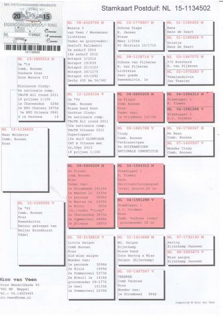 NL 15-1134502 - 2020