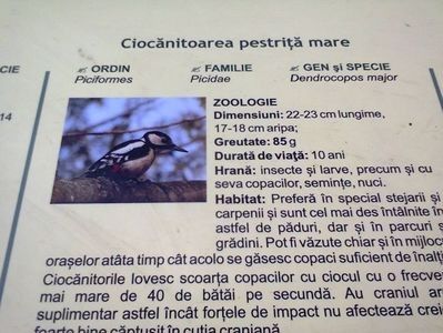 113450513_ZPTPSNX - 2020 PLIMBARE PE DEALUL HOIA 12 MAI