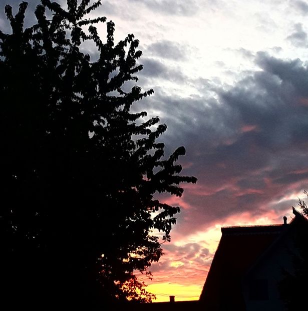  - - O - Fotografii x