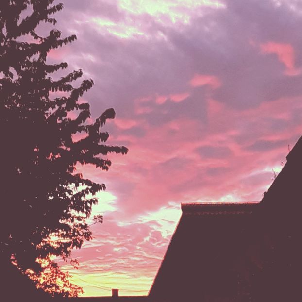  - - O - Fotografii x