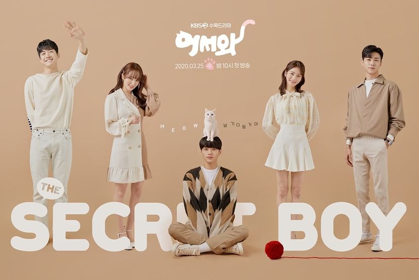 Meow: The Secret Boy - KDrama