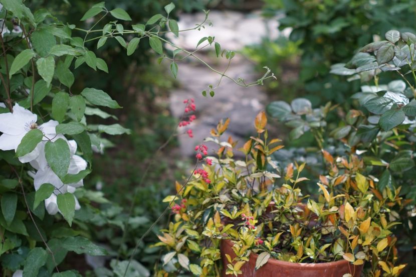  - MAI 2019- MAI 2020