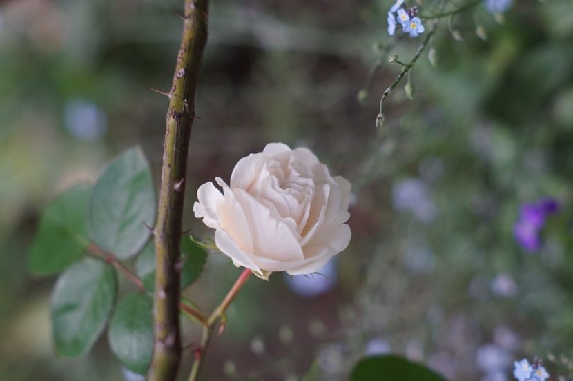  - MAI 2019- MAI 2020