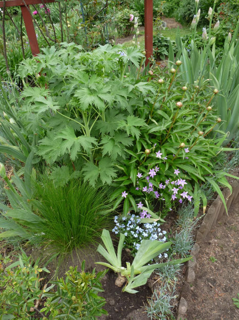  - 2020 - 01 - Primavara