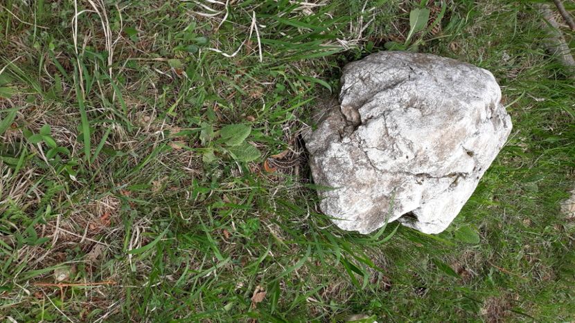  - Samsungj7 17mai2020