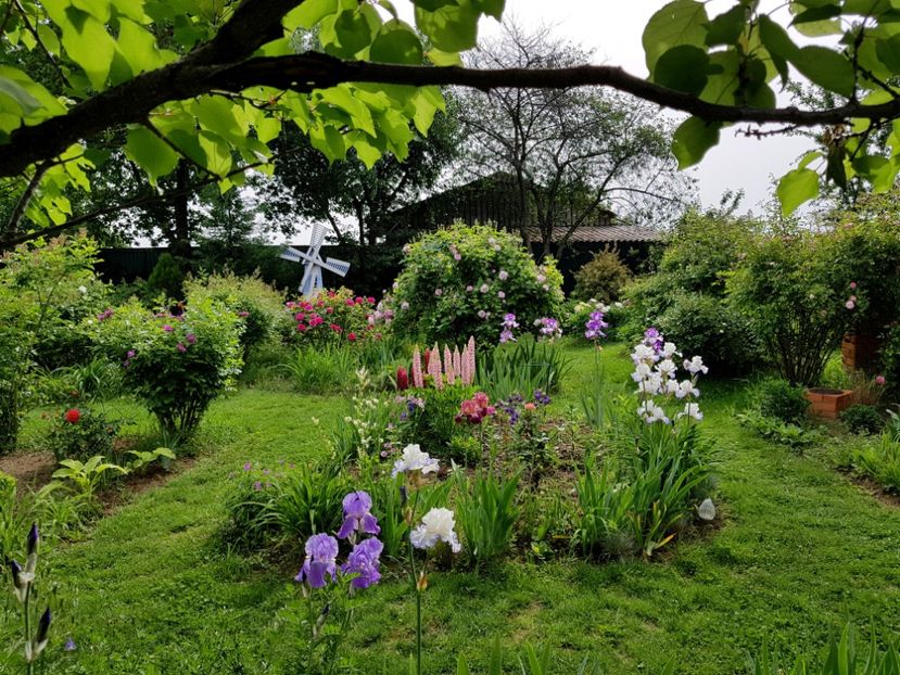  - 2020 Mai _Idilic Garden