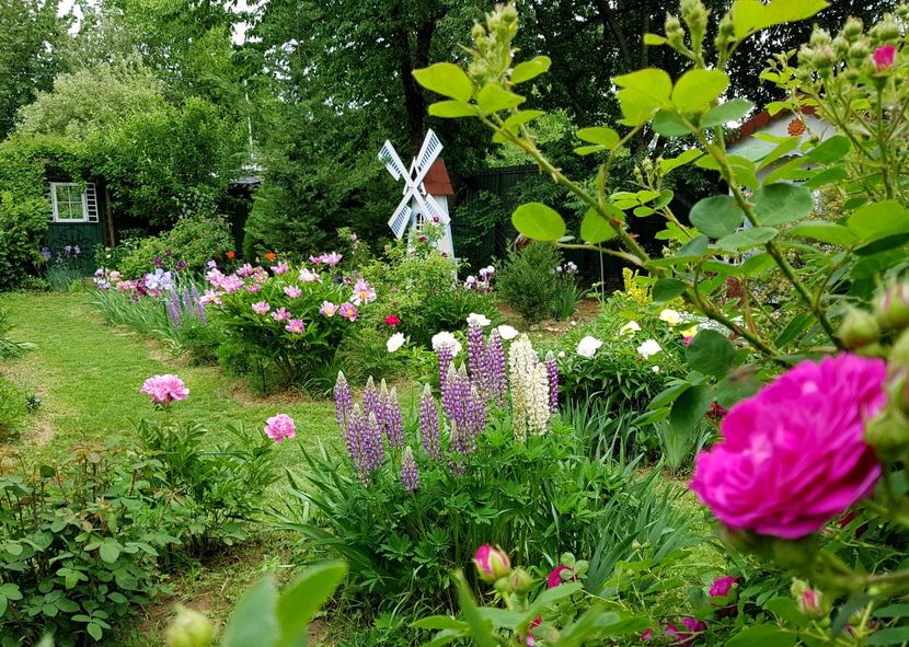  - 2020 Mai _Idilic Garden