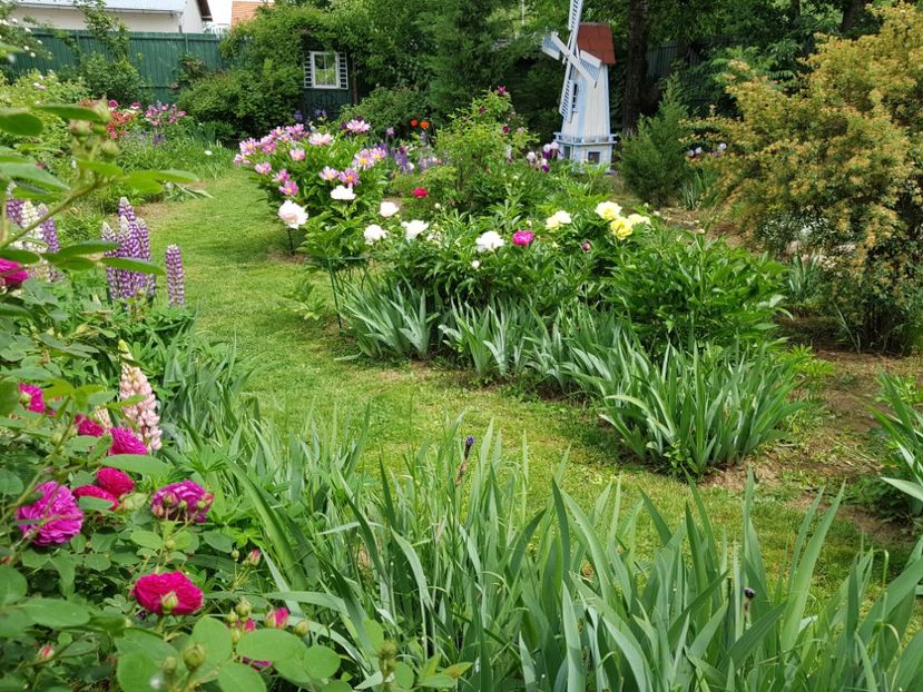  - 2020 Mai _Idilic Garden