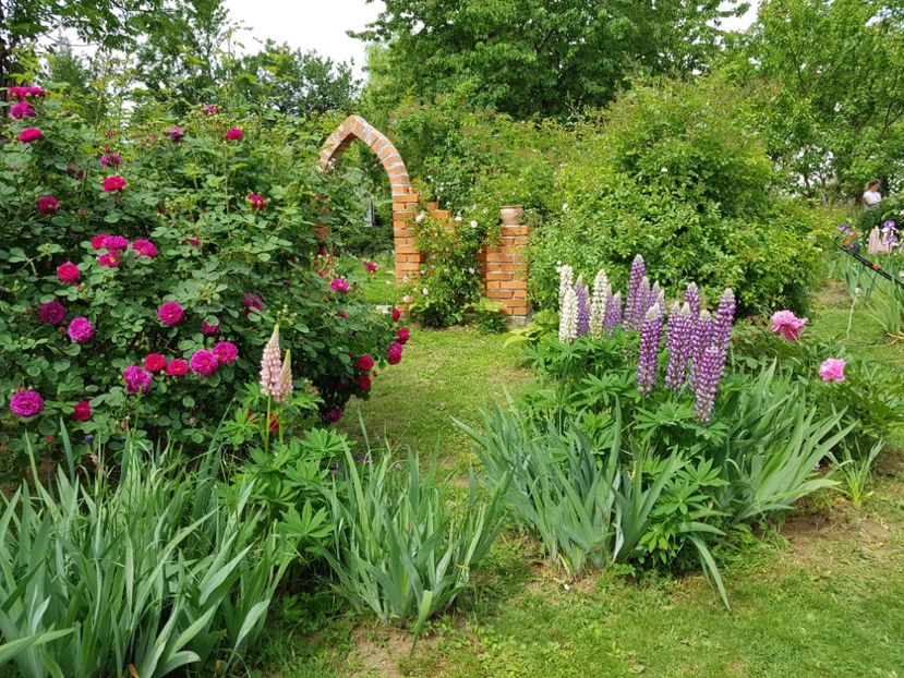  - 2020 Mai _Idilic Garden