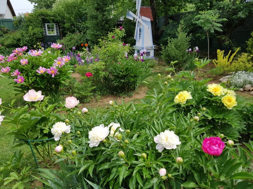  - 2020 Mai _Idilic Garden