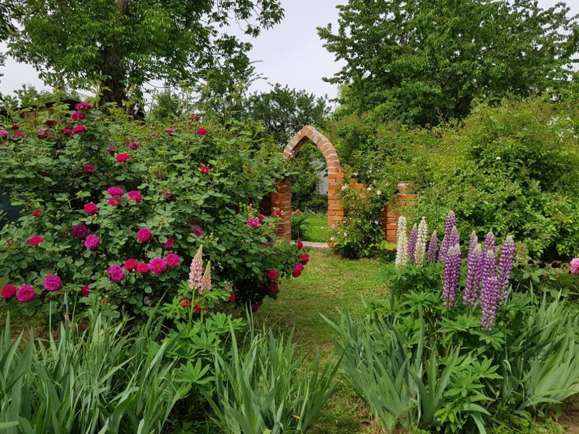  - 2020 Mai _Idilic Garden