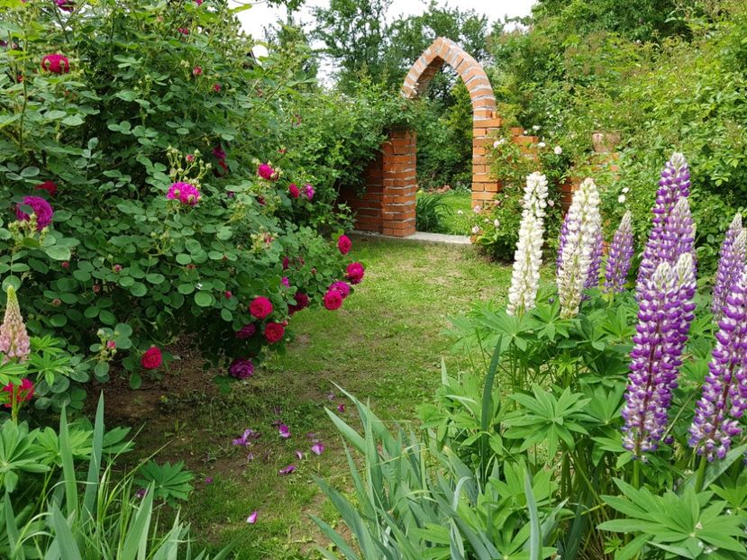  - 2020 Mai _Idilic Garden