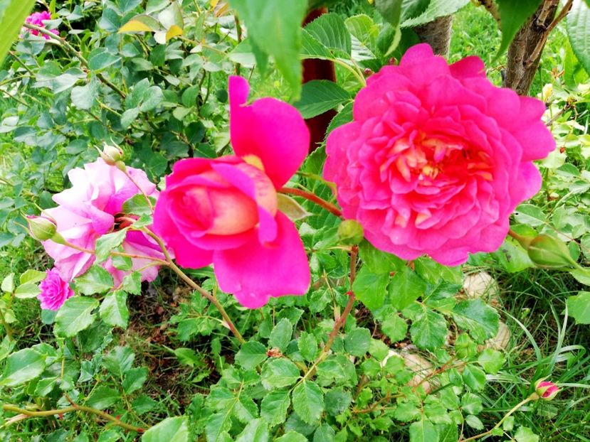  - Christopher Marlowe