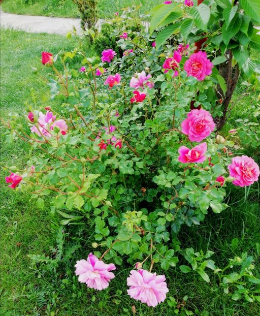  - Christopher Marlowe