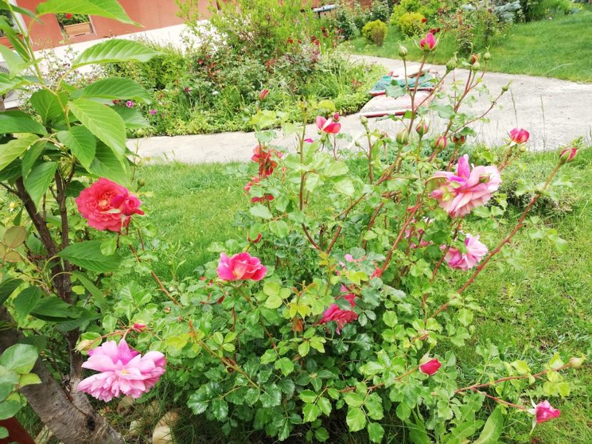  - Christopher Marlowe