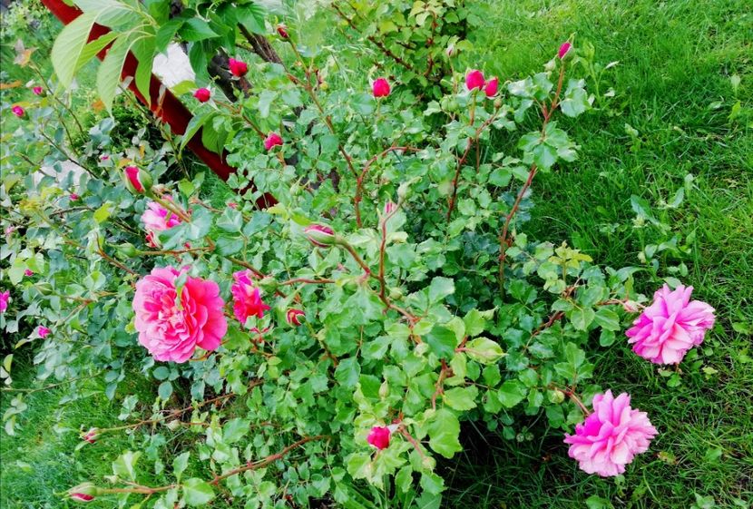  - Christopher Marlowe