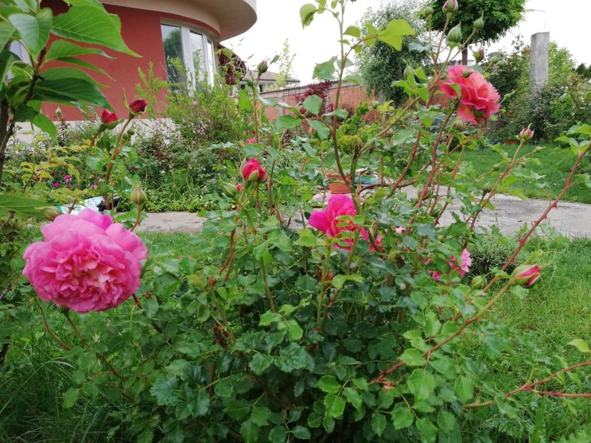  - Christopher Marlowe