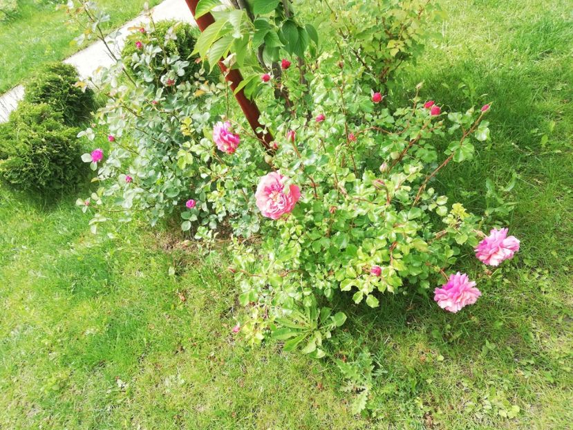  - Christopher Marlowe