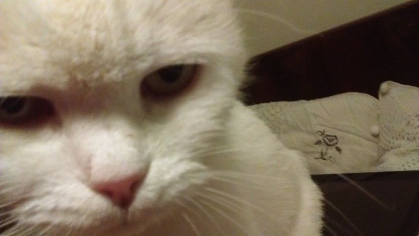  - 0 IN AMINTIREA POXICUTEI