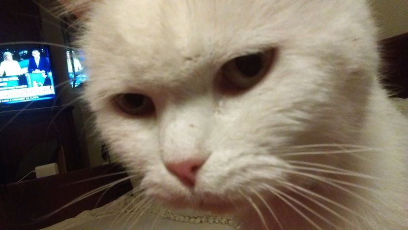  - 0 IN AMINTIREA POXICUTEI