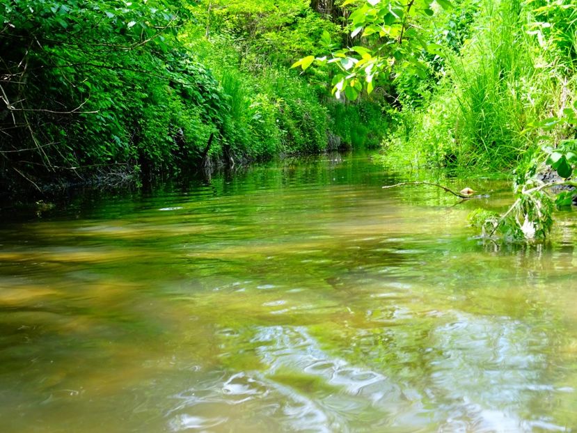  - Patakmenti-Hóstát kis gazdaság