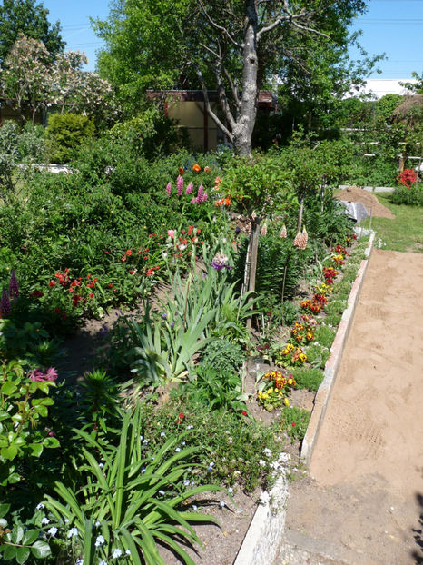  - 2020 - 01 - Primavara