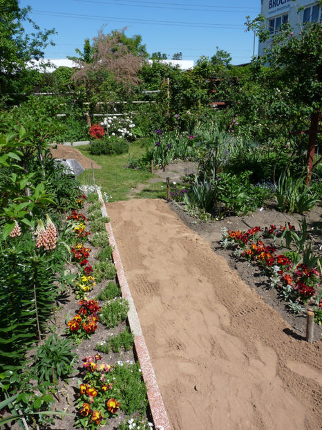  - 2020 - 01 - Primavara