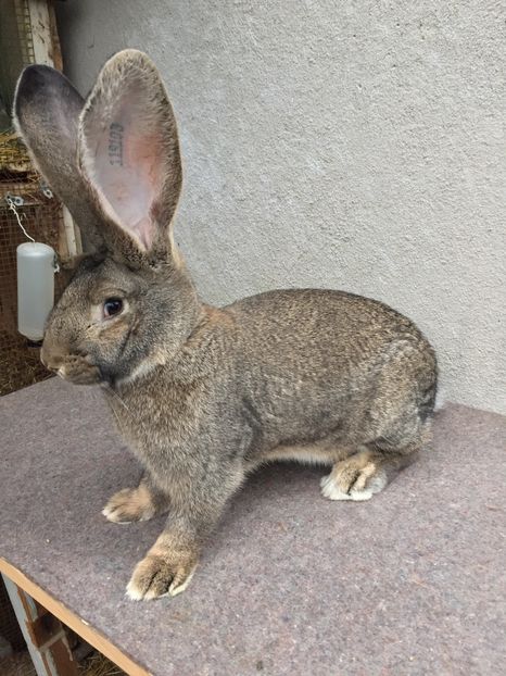 BF59CD7B-0685-4A47-A76E-51CD2F725E76 - RO 8-119103