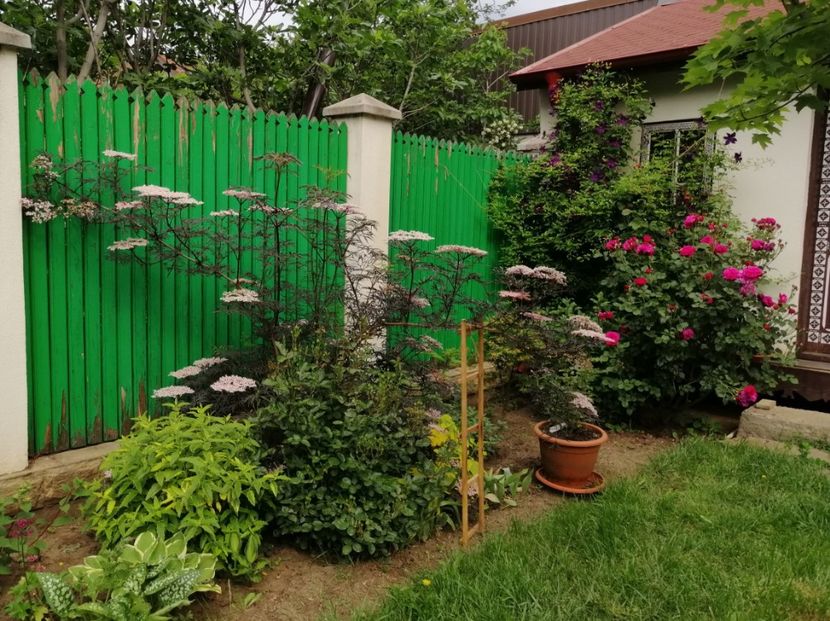  - 2020 mai iunie iulie