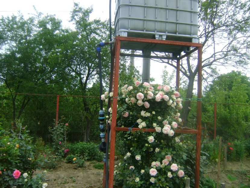  - Gradina 2020-2021